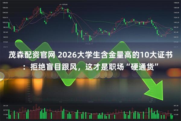 茂森配资官网 2026大学生含金量高的10大证书：拒绝盲目跟风，这才是职场“硬通货”