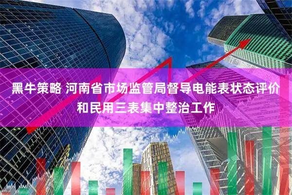 黑牛策略 河南省市场监管局督导电能表状态评价和民用三表集中整治工作