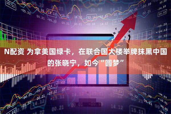 N配资 为拿美国绿卡，在联合国大楼举牌抹黑中国的张晓宁，如今“圆梦”